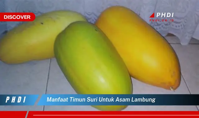 manfaat timun suri untuk asam lambung