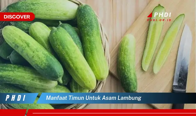 manfaat timun untuk asam lambung