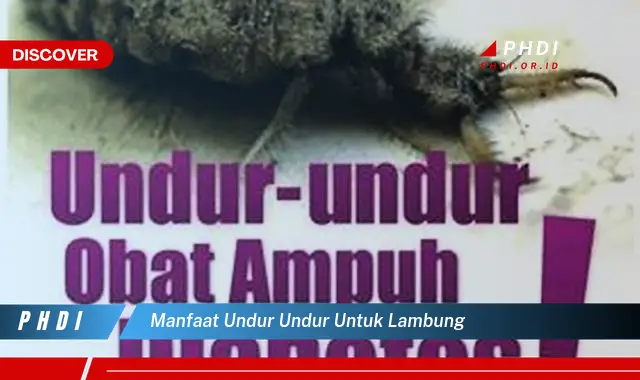 manfaat undur undur untuk lambung