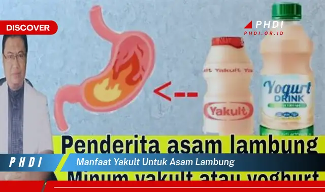 manfaat yakult untuk asam lambung