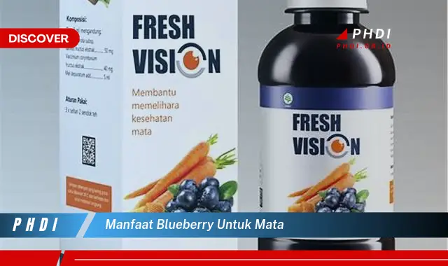 manfaat blueberry untuk mata