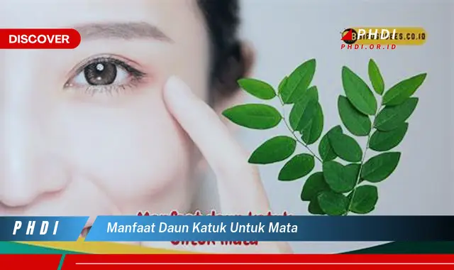 manfaat daun katuk untuk mata