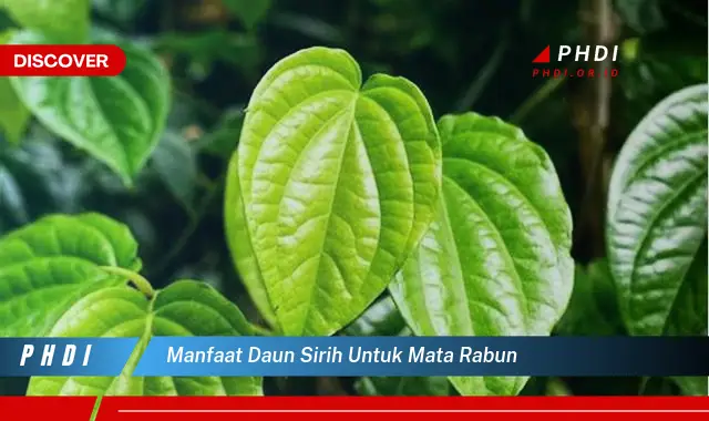 manfaat daun sirih untuk mata rabun