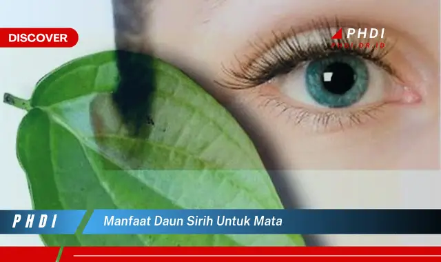 manfaat daun sirih untuk mata