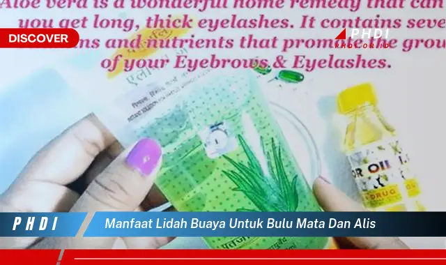 manfaat lidah buaya untuk bulu mata dan alis