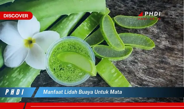 manfaat lidah buaya untuk mata