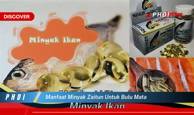 manfaat minyak zaitun untuk bulu mata