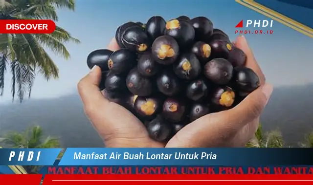 manfaat air buah lontar untuk pria