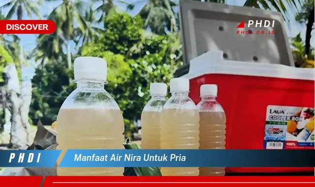 manfaat air nira untuk pria