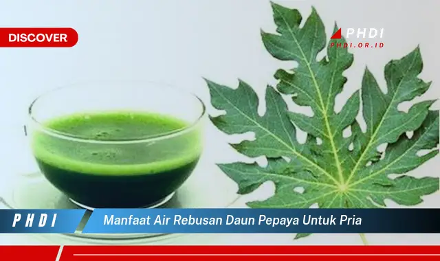 manfaat air rebusan daun pepaya untuk pria