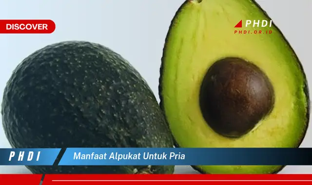 manfaat alpukat untuk pria