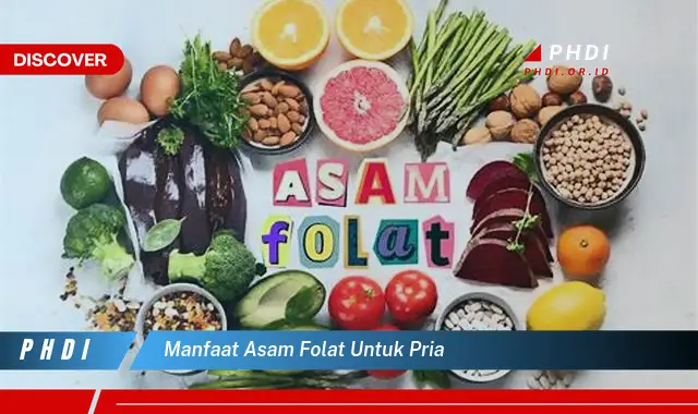 manfaat asam folat untuk pria