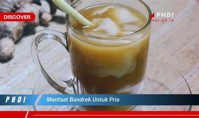 manfaat bandrek untuk pria