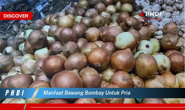 manfaat bawang bombay untuk pria