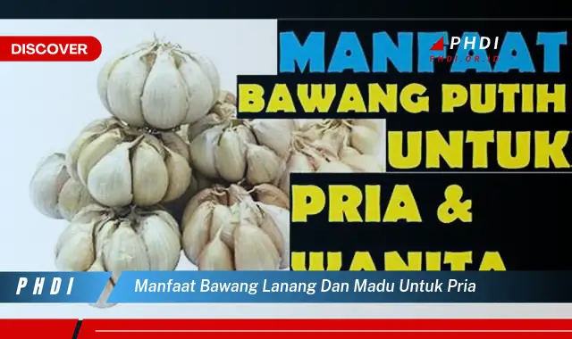 manfaat bawang lanang dan madu untuk pria