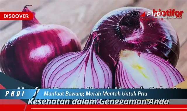 manfaat bawang merah mentah untuk pria