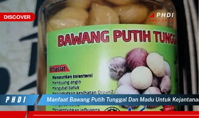 manfaat bawang putih tunggal dan madu untuk kejantanan pria