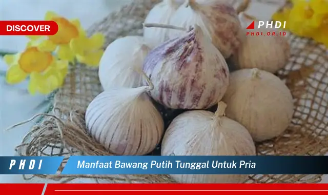 manfaat bawang putih tunggal untuk pria