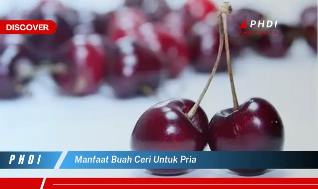 manfaat buah ceri untuk pria