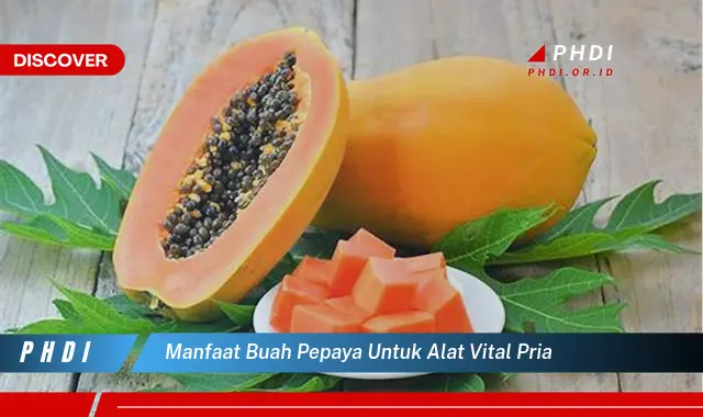 manfaat buah pepaya untuk alat vital pria