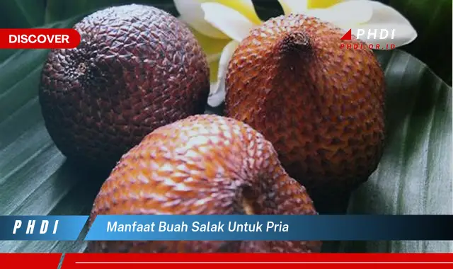 manfaat buah salak untuk pria