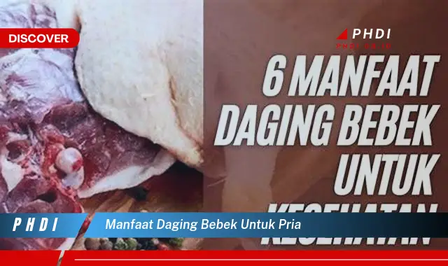 manfaat daging bebek untuk pria