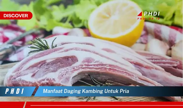 manfaat daging kambing untuk pria