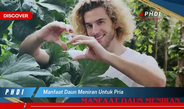 manfaat daun meniran untuk pria