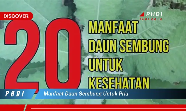 manfaat daun sembung untuk pria