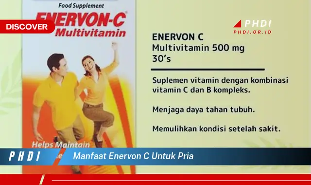 manfaat enervon c untuk pria