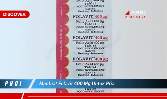 manfaat folavit 400 mg untuk pria