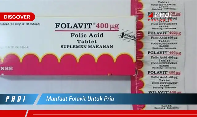 manfaat folavit untuk pria