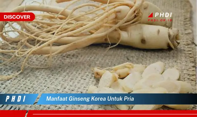 manfaat ginseng korea untuk pria