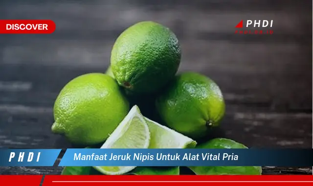 manfaat jeruk nipis untuk alat vital pria