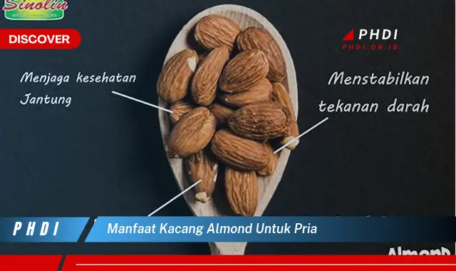 manfaat kacang almond untuk pria