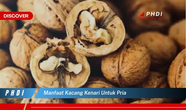 manfaat kacang kenari untuk pria