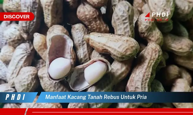 manfaat kacang tanah rebus untuk pria