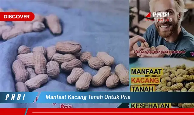 manfaat kacang tanah untuk pria