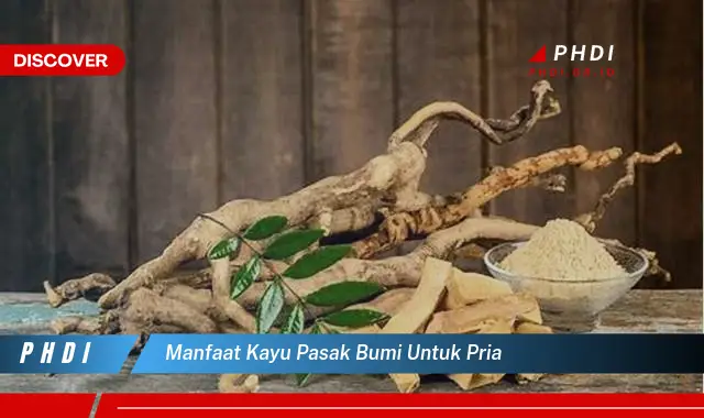 manfaat kayu pasak bumi untuk pria