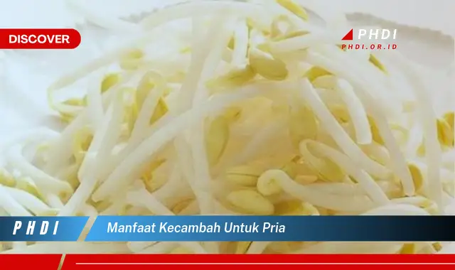 manfaat kecambah untuk pria