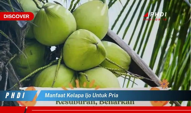 manfaat kelapa ijo untuk pria