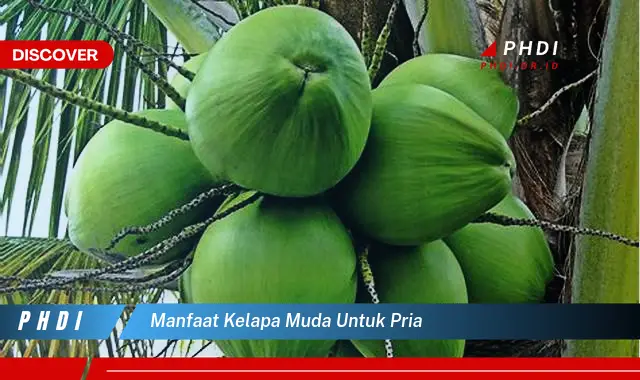 manfaat kelapa muda untuk pria