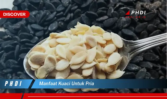 manfaat kuaci untuk pria