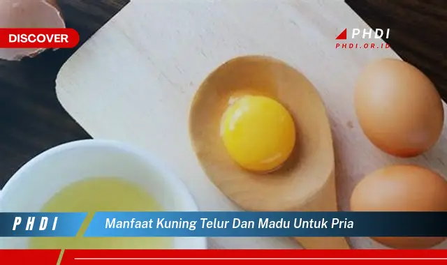 manfaat kuning telur dan madu untuk pria