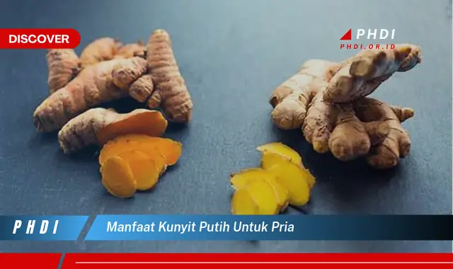 manfaat kunyit putih untuk pria