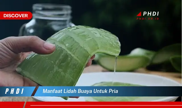 manfaat lidah buaya untuk pria