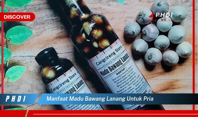 manfaat madu bawang lanang untuk pria