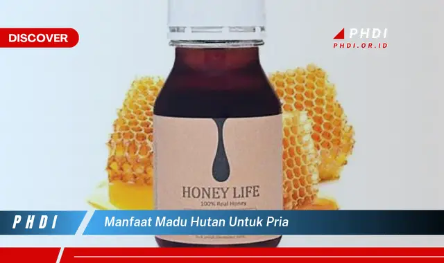 manfaat madu hutan untuk pria