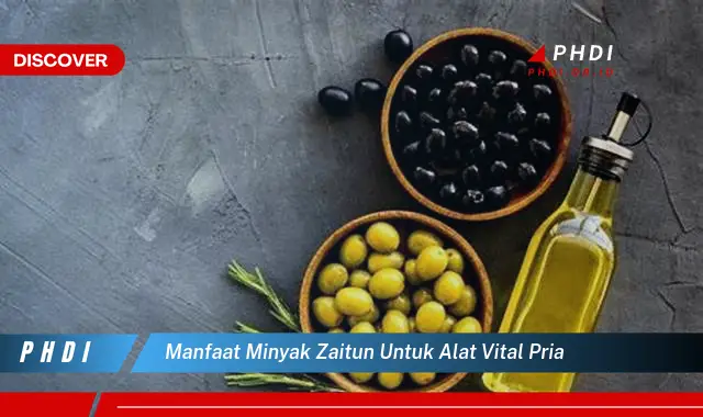 manfaat minyak zaitun untuk alat vital pria