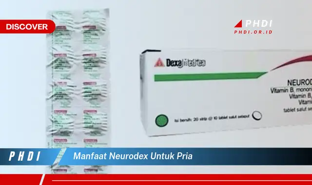 manfaat neurodex untuk pria